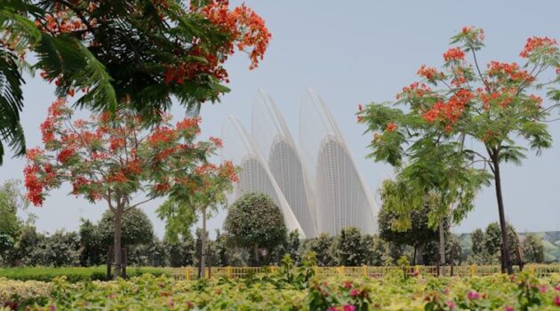 Abu Dhabi: twee culturele publiekstrekkers openen hun deuren