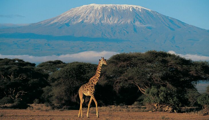 Tanzania legt reizigers extra verzekeringsplicht op